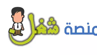 من هو الرئيس التنفيذي وما هي واجباته المحددة؟