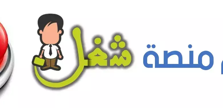 من هو الرئيس التنفيذي وما هي واجباته المحددة؟